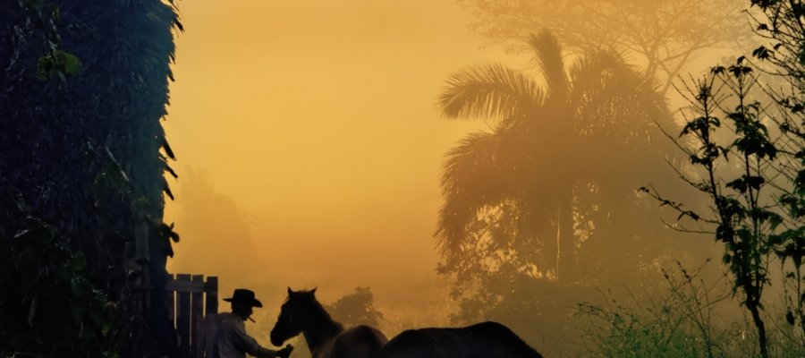 Michael Lemiski – Morning at the Tobacco Barn – HM