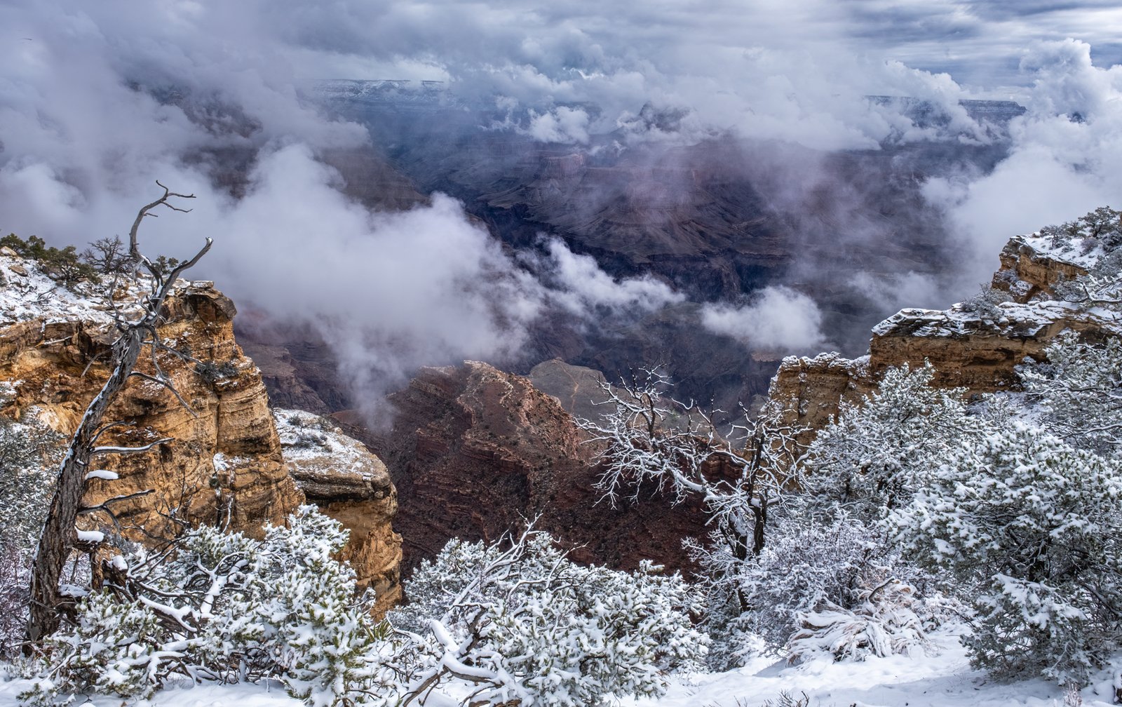 Patricia Griesser – March in the Canyon – 2nd