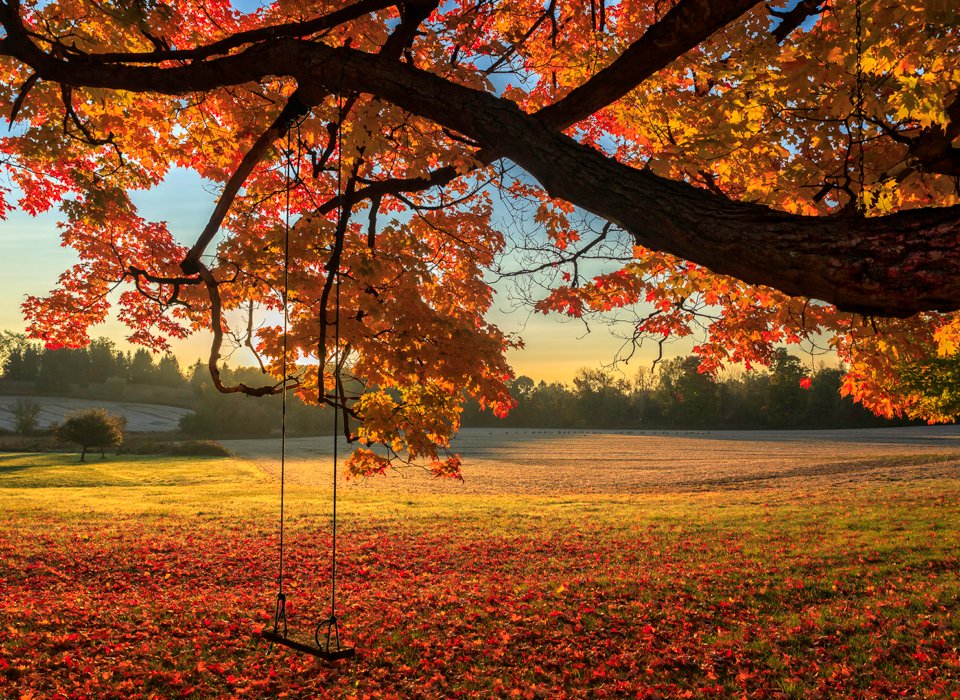 Eros Fiacconi – Pastoral Autumn Sunrise – 1st