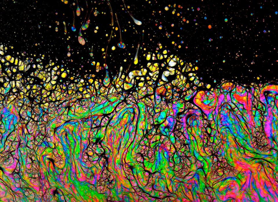 Joe DiLecce – Soap film abstract – 3rd