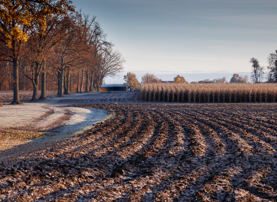 Lori Kidd – Frosted Farm Rows – 2nd