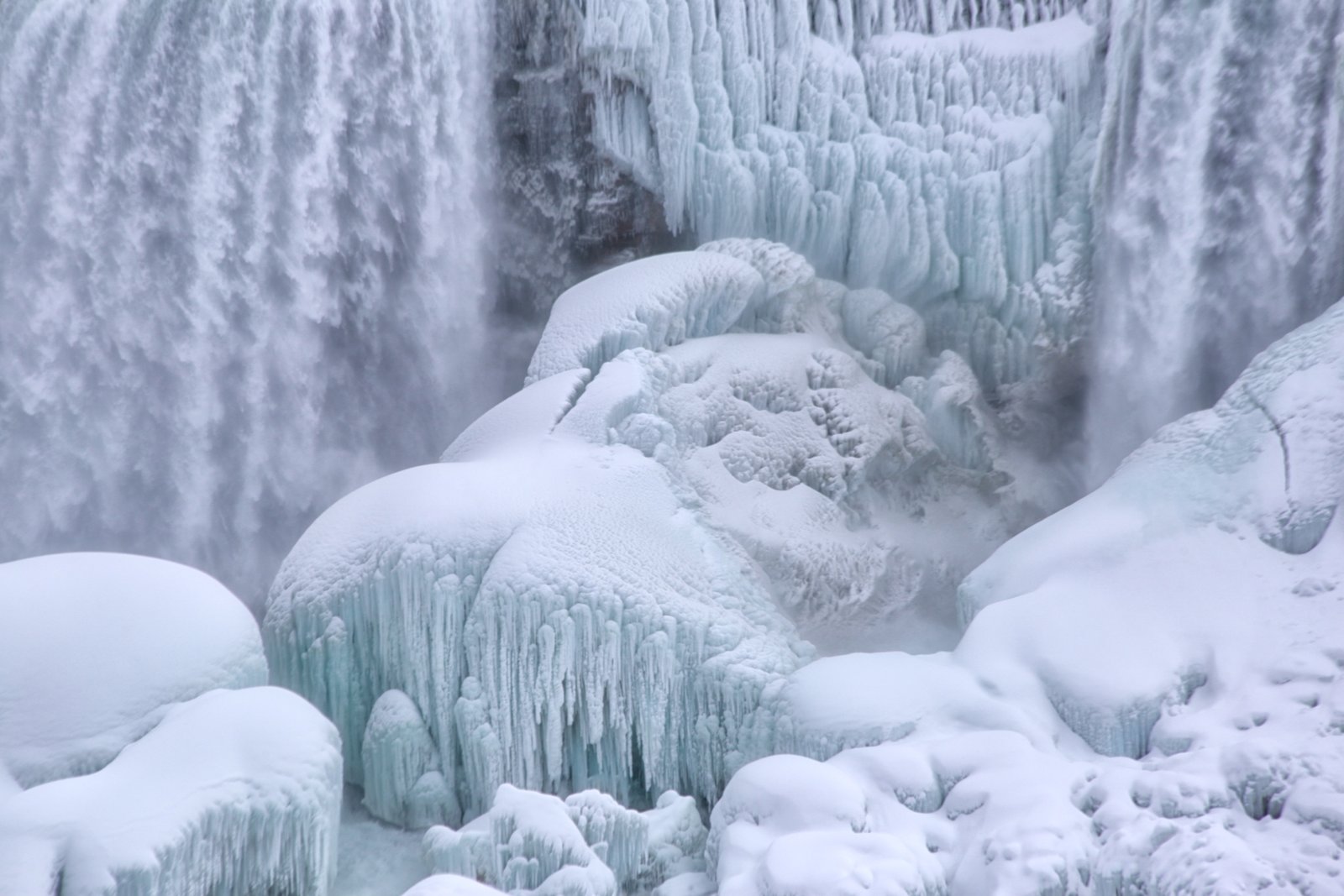 Pat Donaldson – Niagara Ice – 1st
