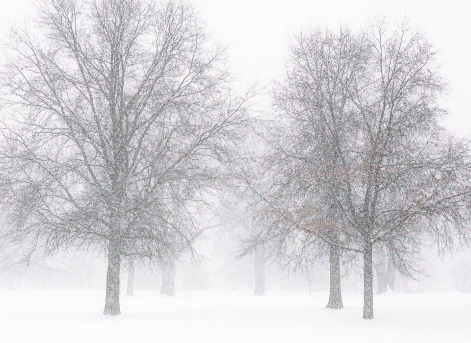 Pat Donaldson – White Out – 3rd