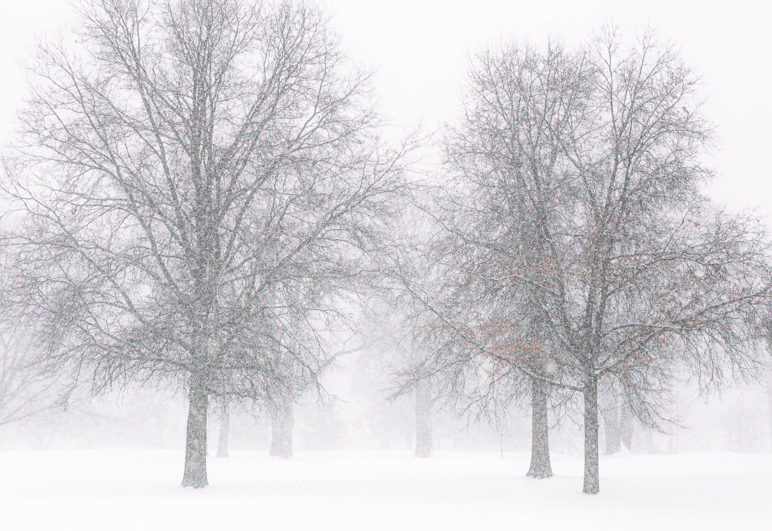 Pat Donaldson – White Out – 3rd