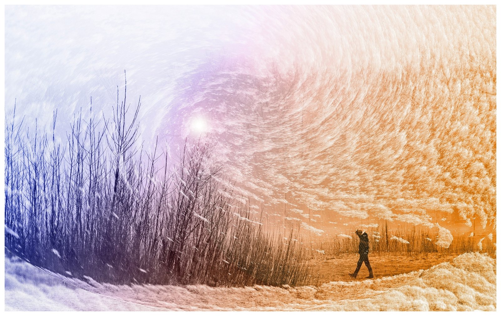 Sang S. Duong – Walking into a Snow Storm – 1st