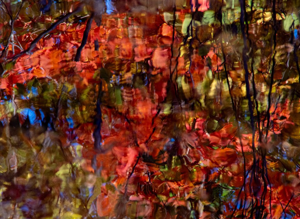 Catharine Smith – Fall Reflection – 1st