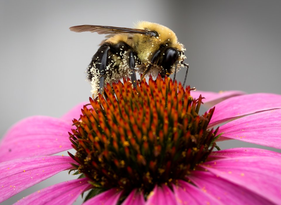 David Field – 061A4969-Enhanced-NR-Edit – 2nd